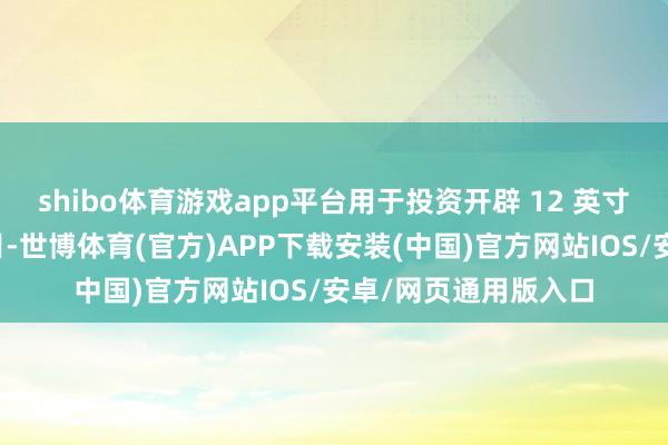 shibo体育游戏app平台用于投资开辟 12 英寸集成电路坐蓐线名目-世博体育(官方)APP下载安装(中国)官方网站IOS/安卓/网页通用版入口