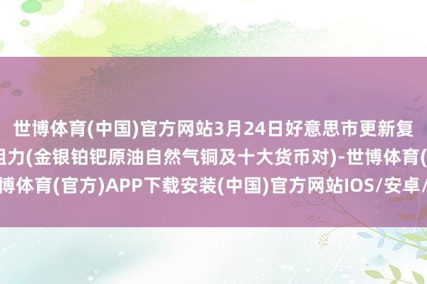 世博体育(中国)官方网站3月24日好意思市更新复旧阻力：18品种复旧阻力(金银铂钯原油自然气铜及十大货币对)-世博体育(官方)APP下载安装(中国)官方网站IOS/安卓/网页通用版入口