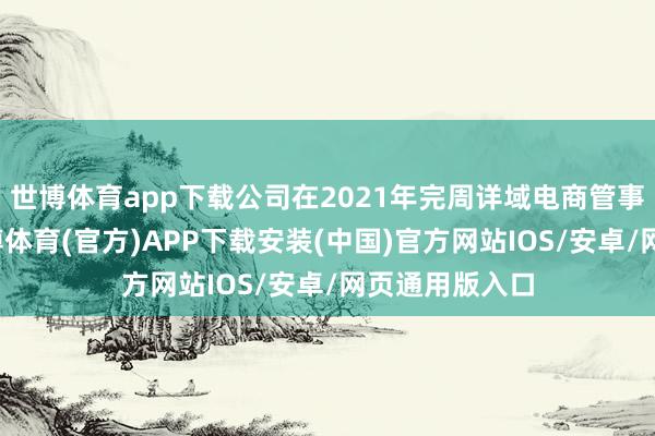 世博体育app下载公司在2021年完周详域电商管事商的诞生-世博体育(官方)APP下载安装(中国)官方网站IOS/安卓/网页通用版入口