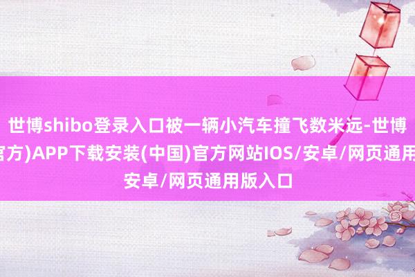 世博shibo登录入口被一辆小汽车撞飞数米远-世博体育(官方)APP下载安装(中国)官方网站IOS/安卓/网页通用版入口