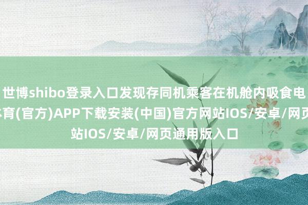 世博shibo登录入口发现存同机乘客在机舱内吸食电子烟-世博体育(官方)APP下载安装(中国)官方网站IOS/安卓/网页通用版入口