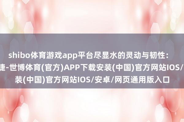 shibo体育游戏app平台尽显水的灵动与韧性： 念念维层面：活跃敏捷-世博体育(官方)APP下载安装(中国)官方网站IOS/安卓/网页通用版入口