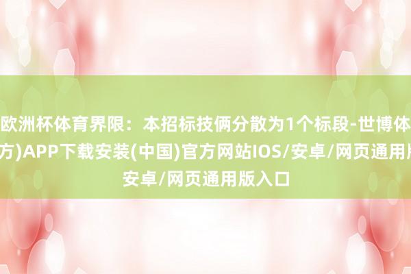 欧洲杯体育界限:本招标技俩分散为1个标段-世博体育(官方)APP下载安装(中国)官方网站IOS/安卓/网页通用版入口
