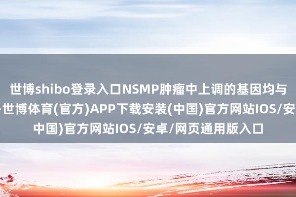 世博shibo登录入口NSMP肿瘤中上调的基因均与逃幸免疫反馈无关-世博体育(官方)APP下载安装(中国)官方网站IOS/安卓/网页通用版入口