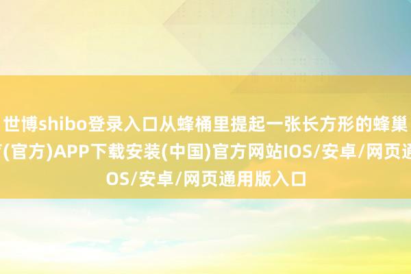 世博shibo登录入口从蜂桶里提起一张长方形的蜂巢-世博体育(官方)APP下载安装(中国)官方网站IOS/安卓/网页通用版入口